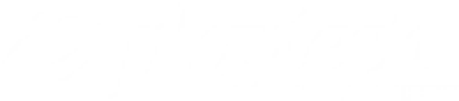 Playtech slot online 
